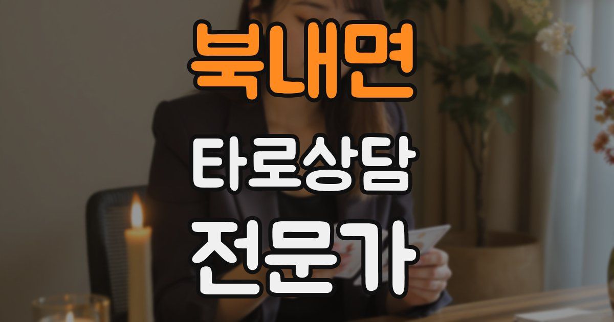 북내면 타로상담전문가 자격증