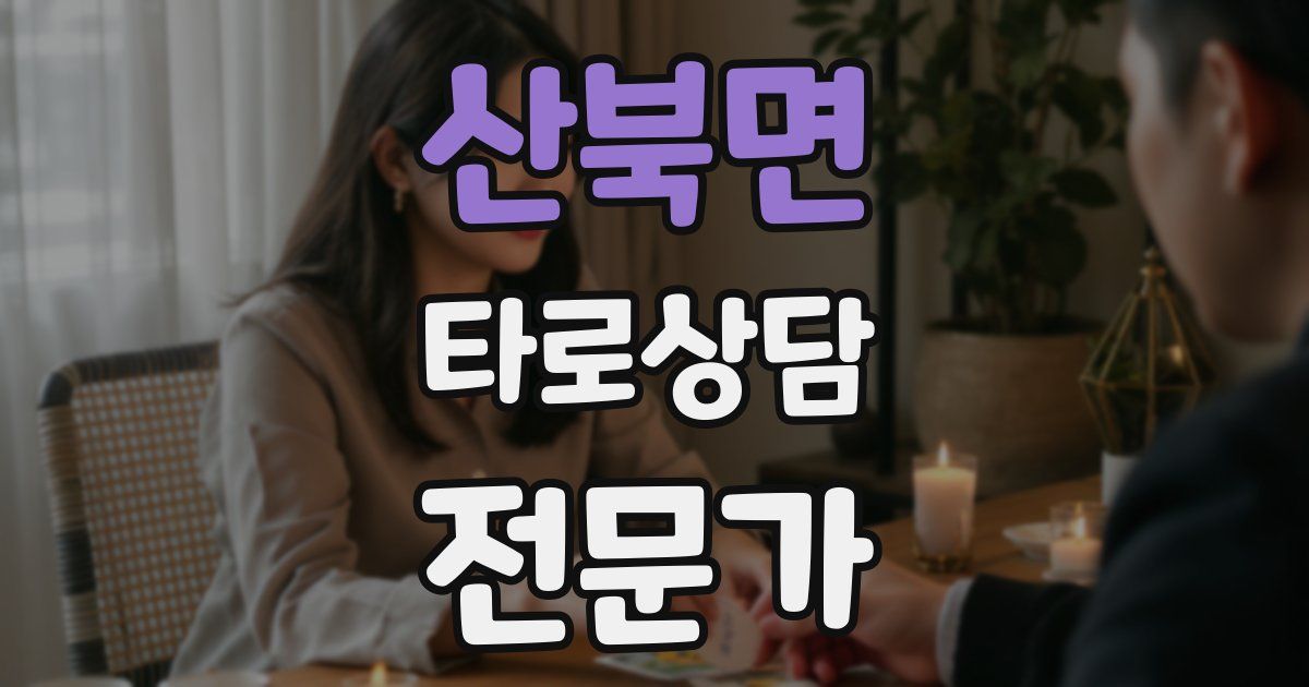 산북면 타로상담전문가 자격증