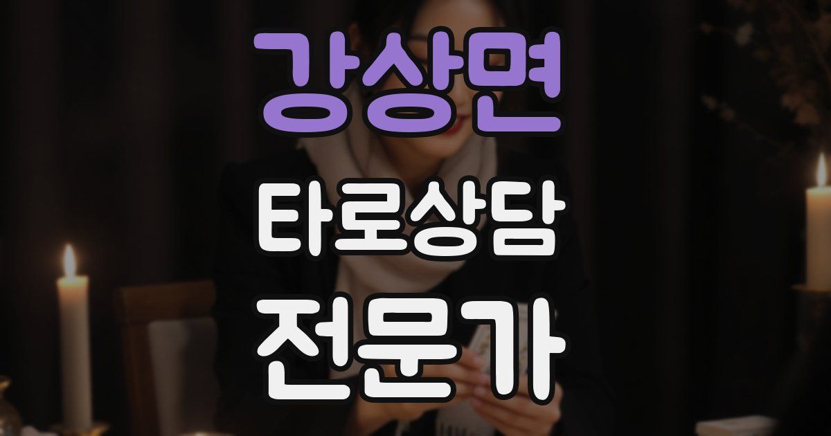 강상면 타로상담전문가 자격증