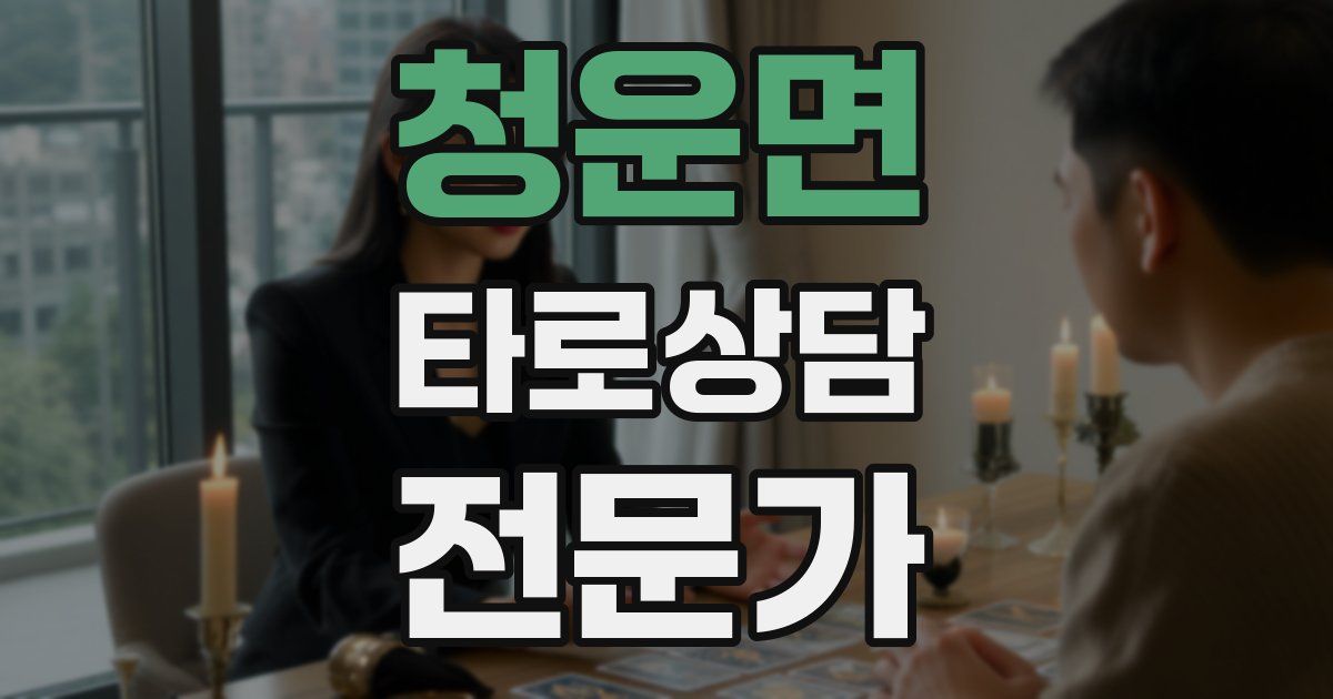 청운면 타로상담전문가 자격증