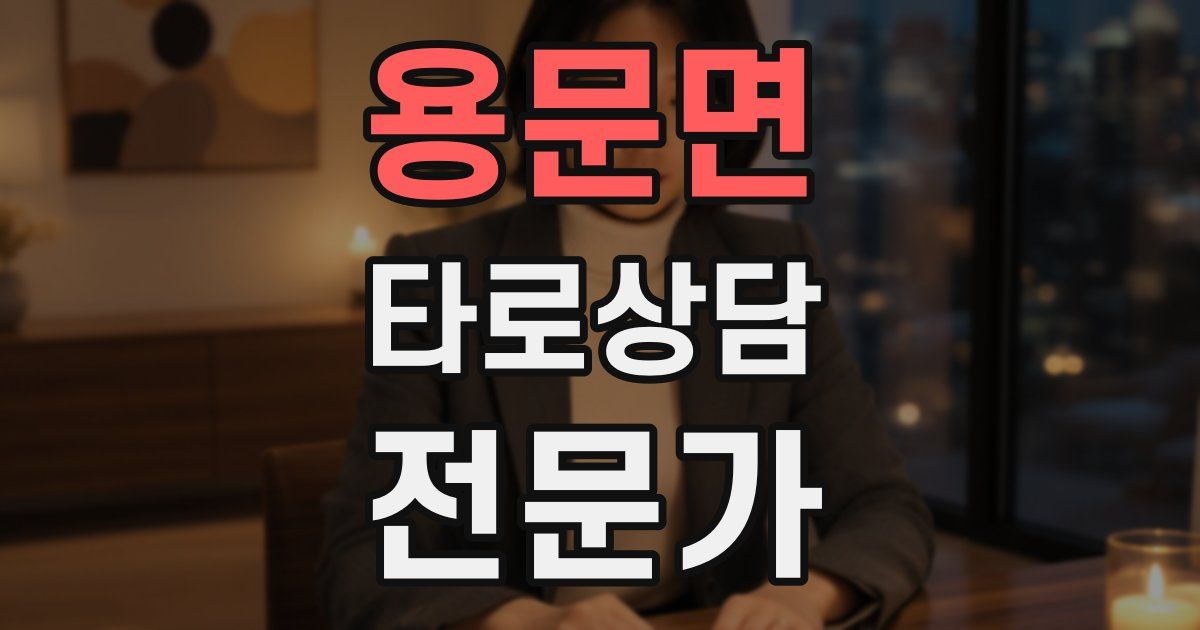 용문면 타로상담전문가 자격증
