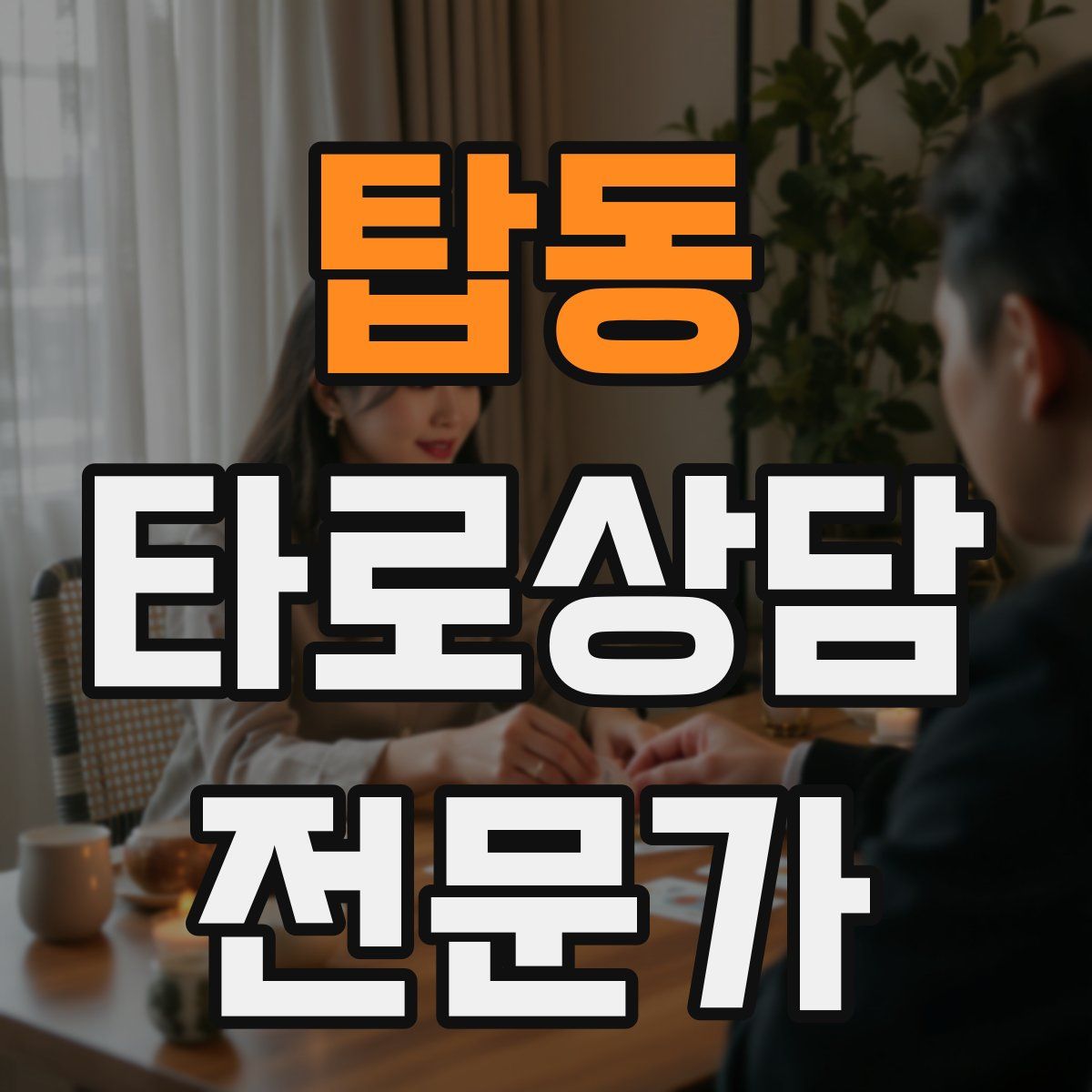 탑동 타로상담전문가 자격증