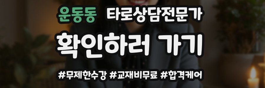 운동동 타로상담전문가 자격증