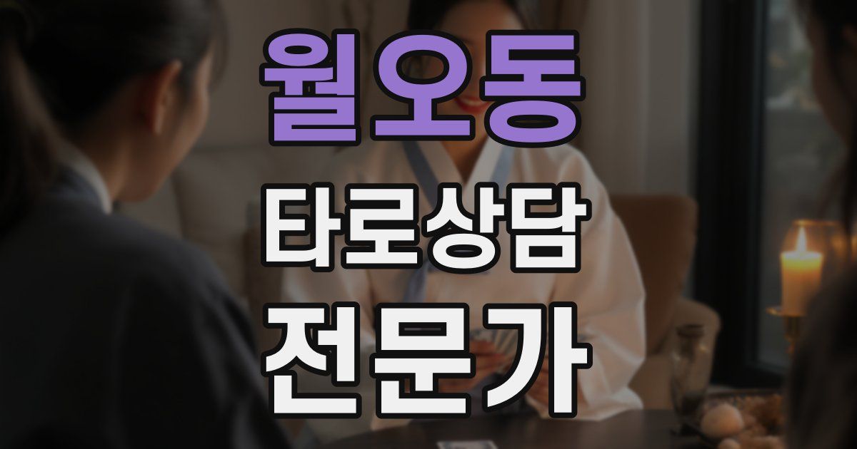 월오동 타로상담전문가 자격증