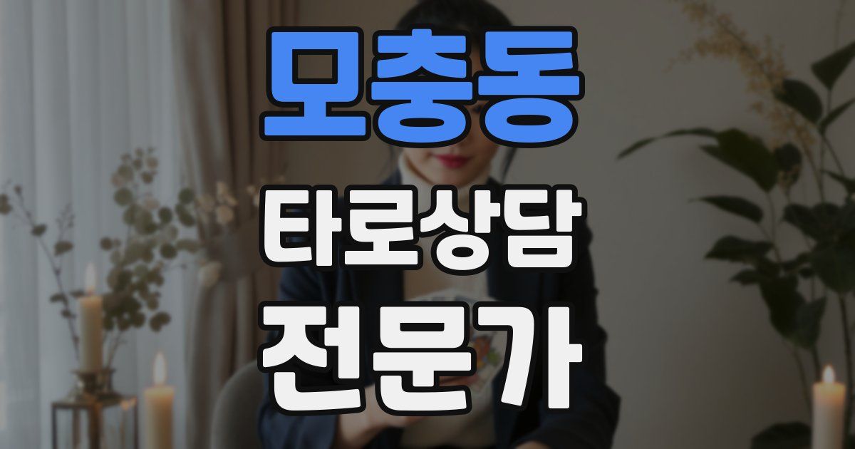 모충동 타로상담전문가 자격증