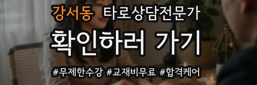 강서동 타로상담전문가 자격증