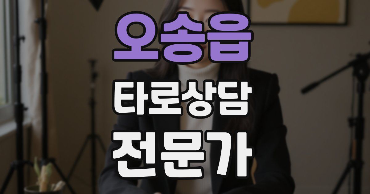 오송읍 타로상담전문가 자격증