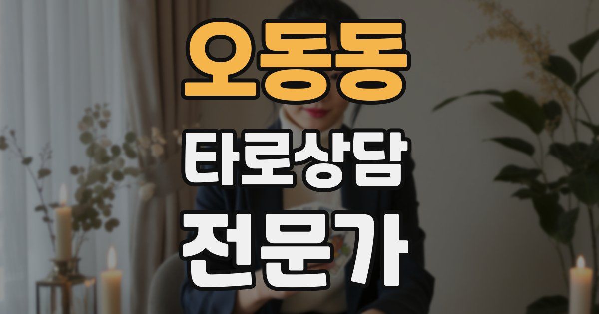 오동동 타로상담전문가 자격증
