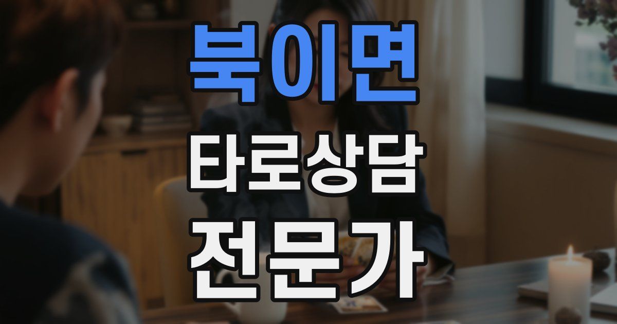 북이면 타로상담전문가 자격증