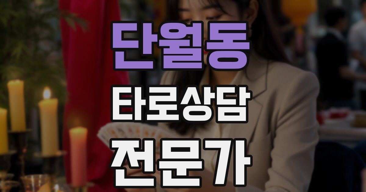 단월동 타로상담전문가 자격증