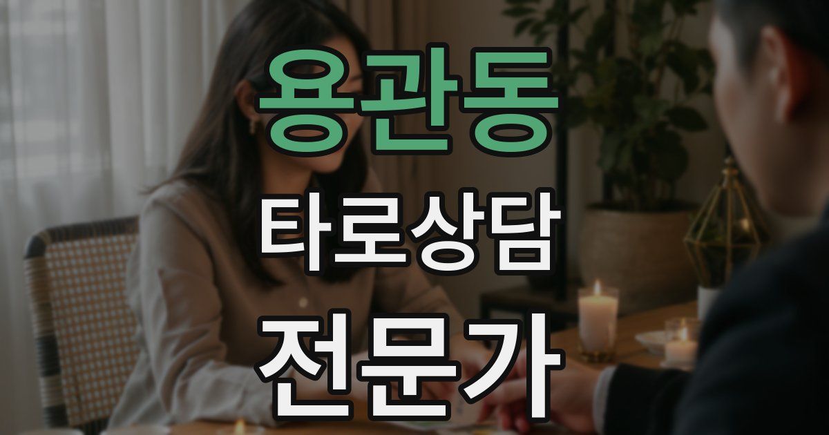 용관동 타로상담전문가 자격증