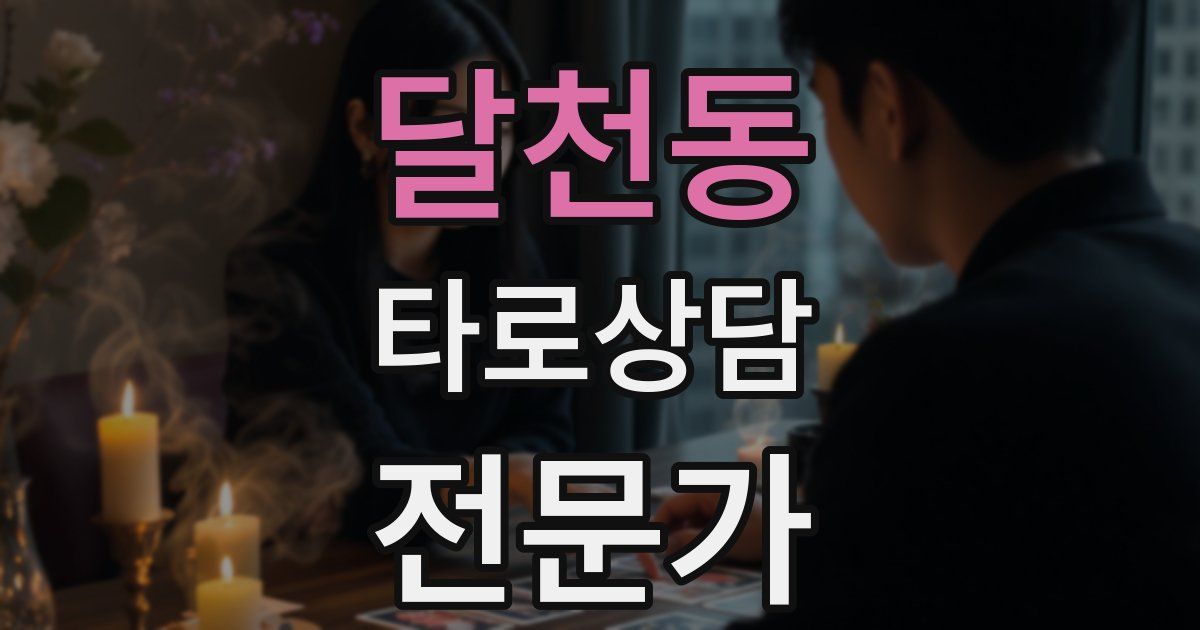 달천동 타로상담전문가 자격증