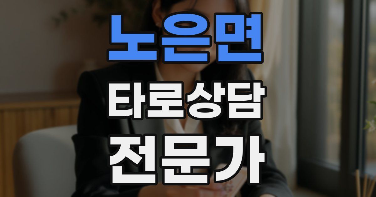 노은면 타로상담전문가 자격증