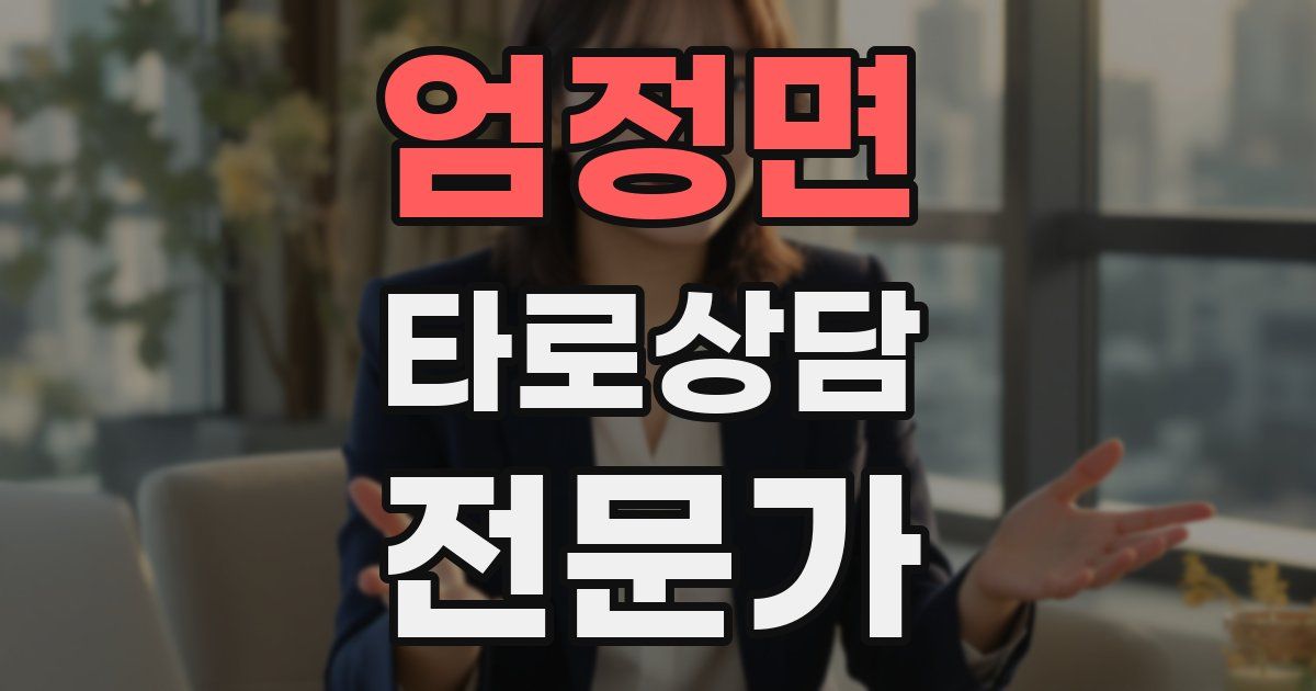 엄정면 타로상담전문가 자격증