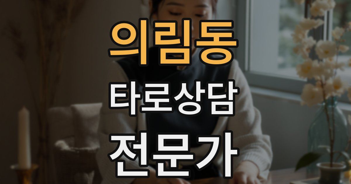 의림동 타로상담전문가 자격증