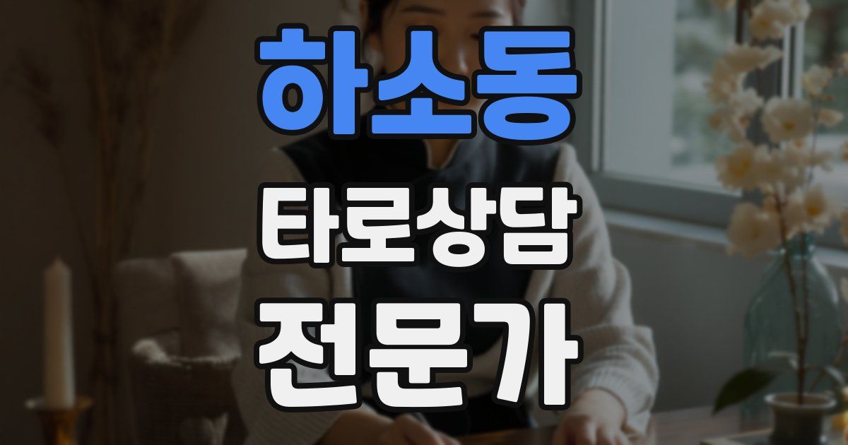 하소동 타로상담전문가 자격증
