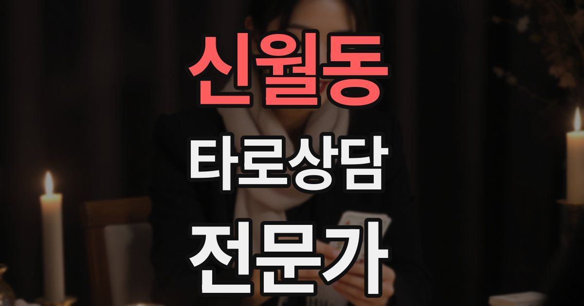 신월동 타로상담전문가 자격증