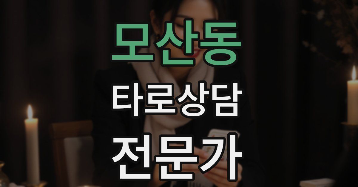 모산동 타로상담전문가 자격증