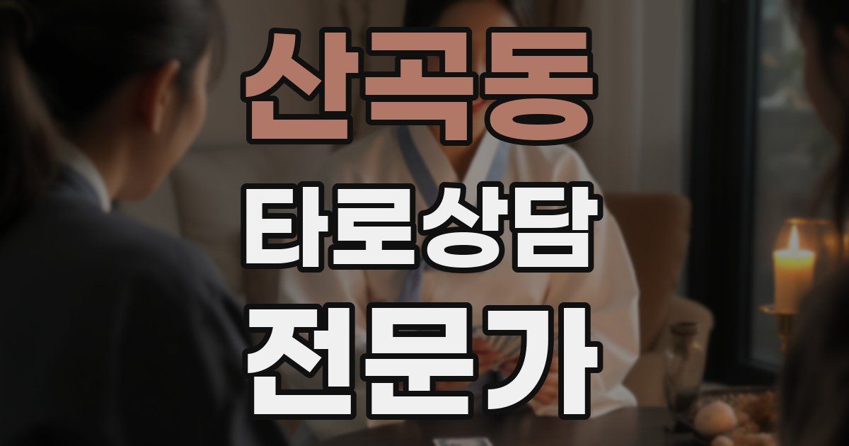 산곡동 타로상담전문가 자격증