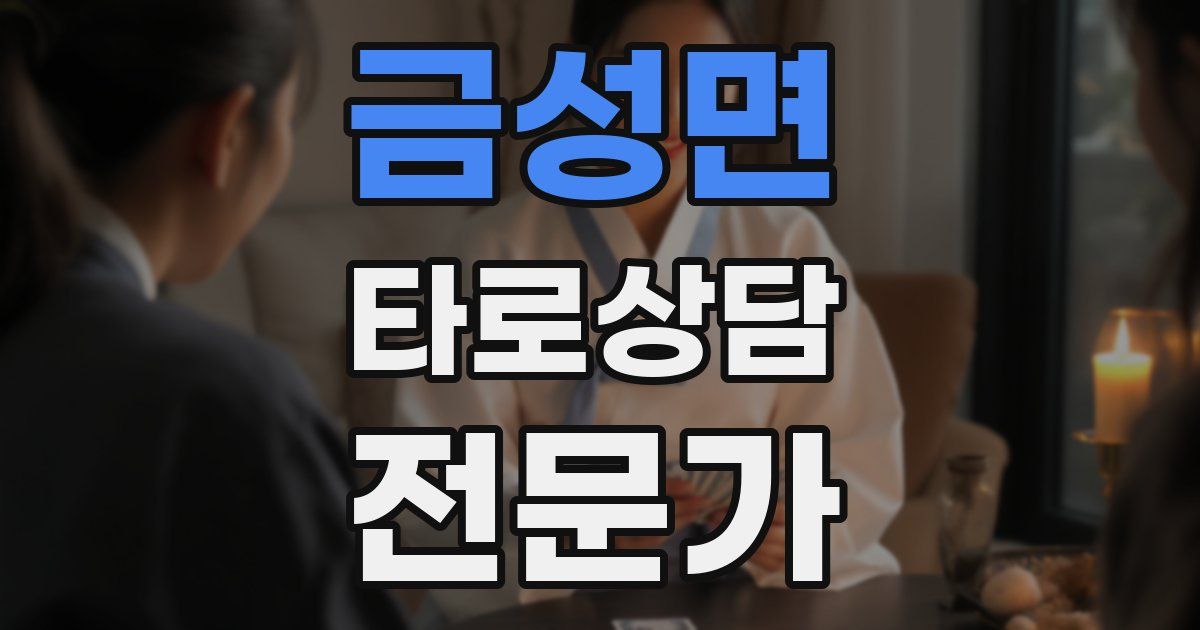 금성면 타로상담전문가 자격증