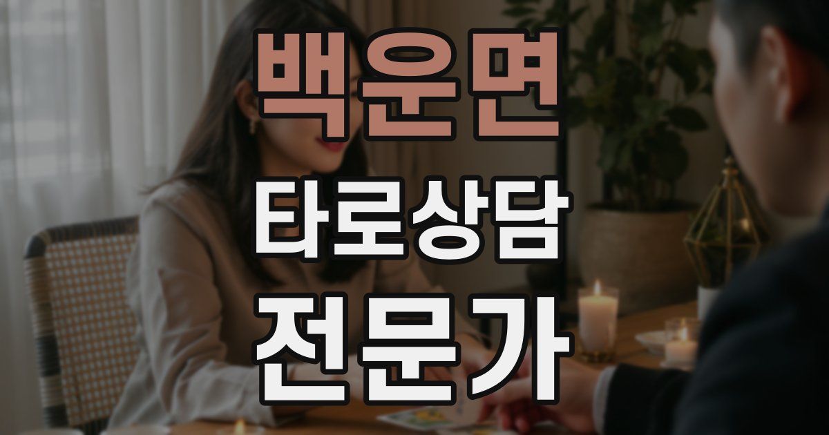 백운면 타로상담전문가 자격증