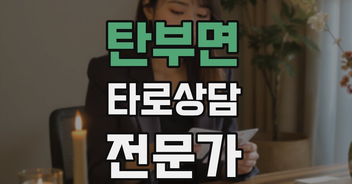 탄부면 타로상담전문가 자격증