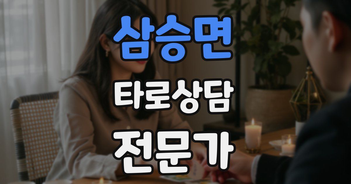 삼승면 타로상담전문가 자격증