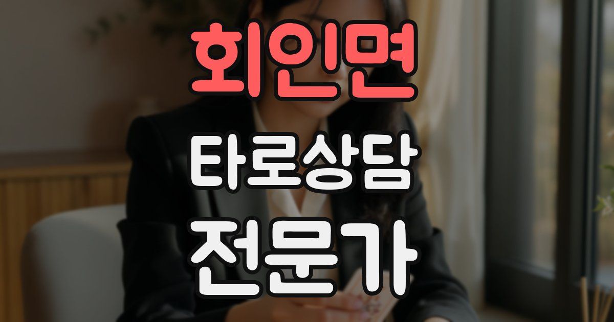 회인면 타로상담전문가 자격증