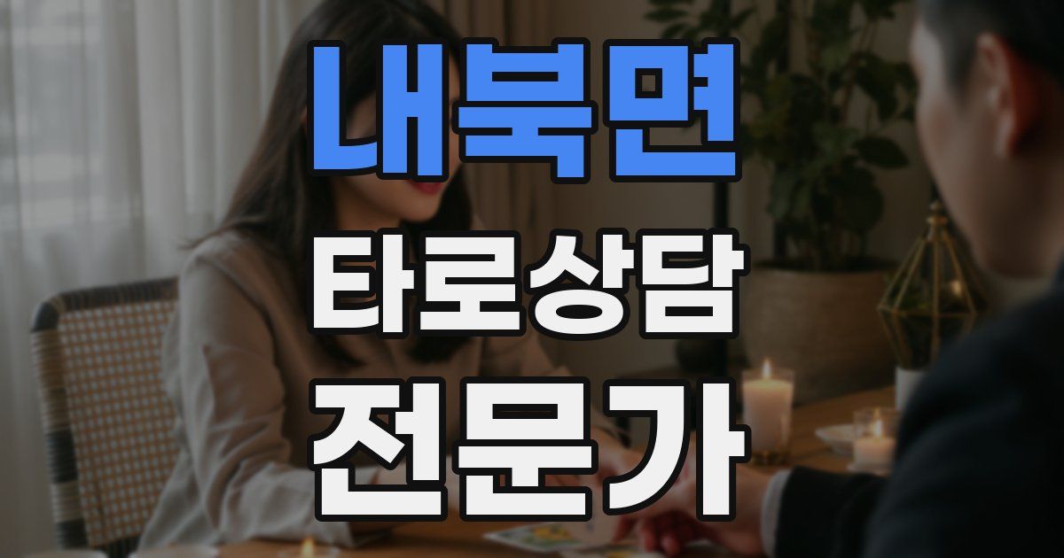 내북면 타로상담전문가 자격증