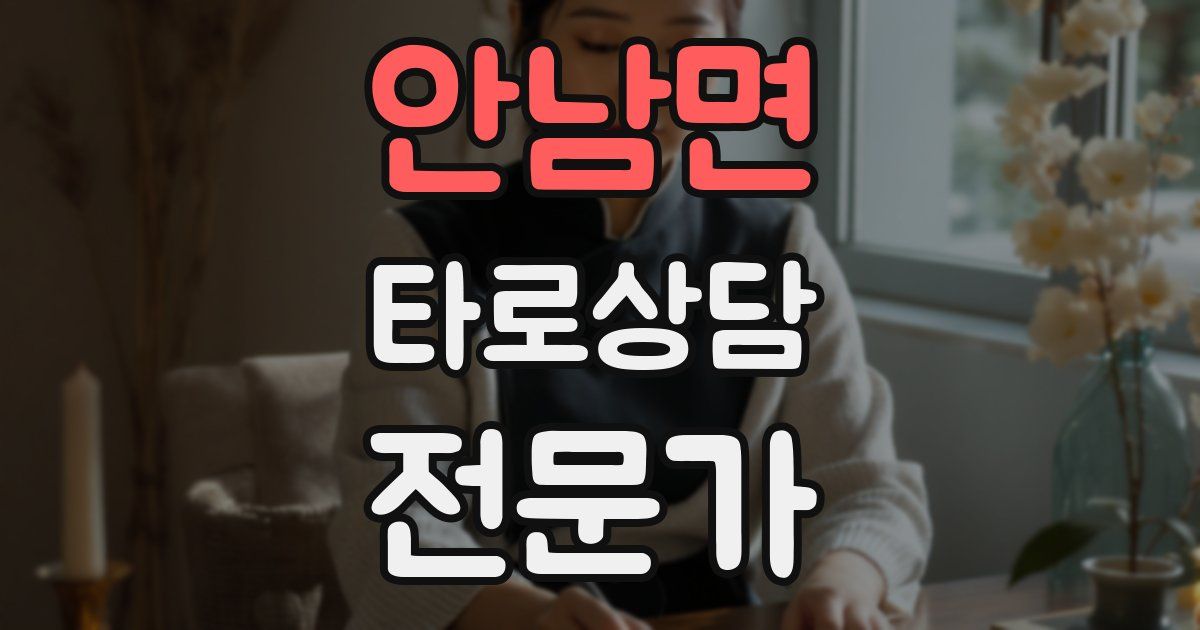 안남면 타로상담전문가 자격증