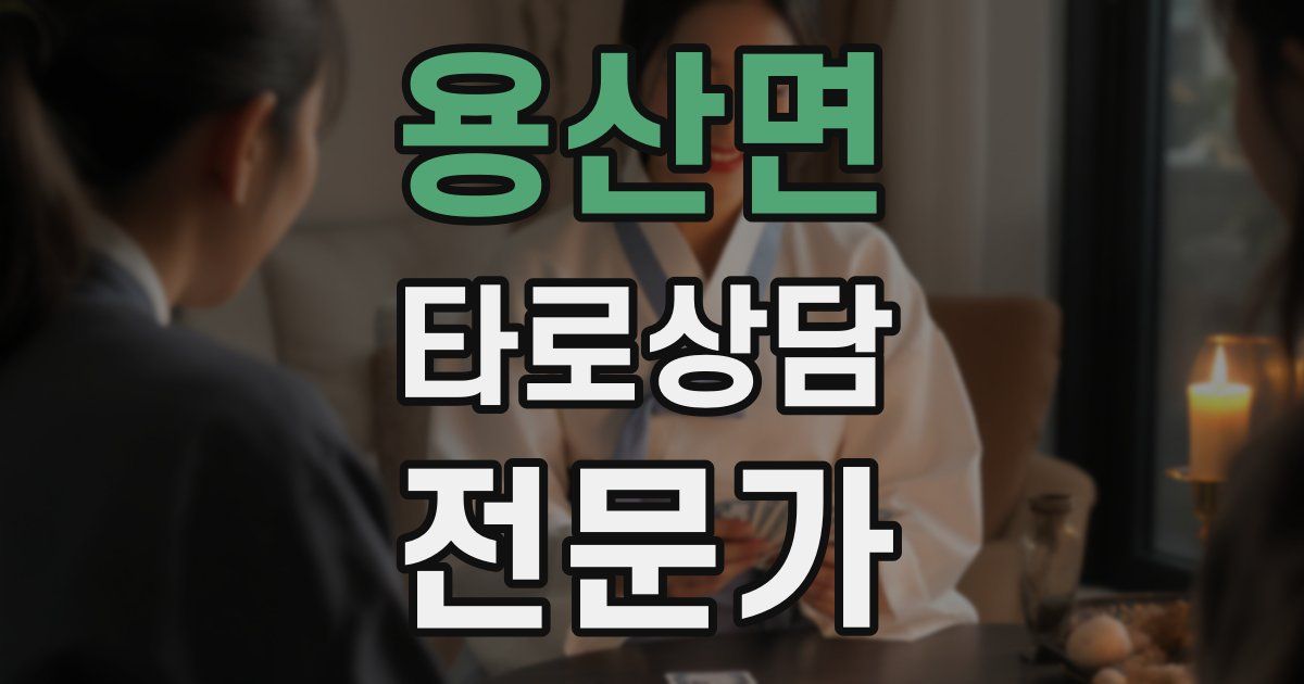 용산면 타로상담전문가 자격증