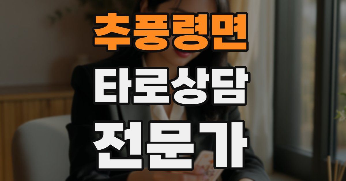 추풍령면 타로상담전문가 자격증