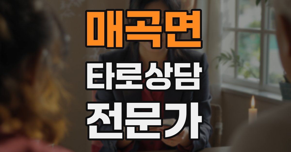 매곡면 타로상담전문가 자격증