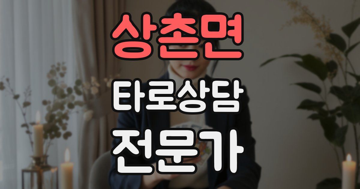 상촌면 타로상담전문가 자격증