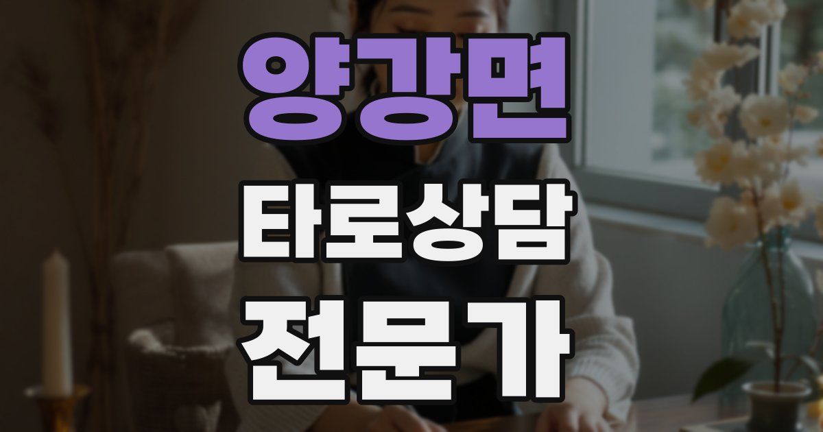 양강면 타로상담전문가 자격증
