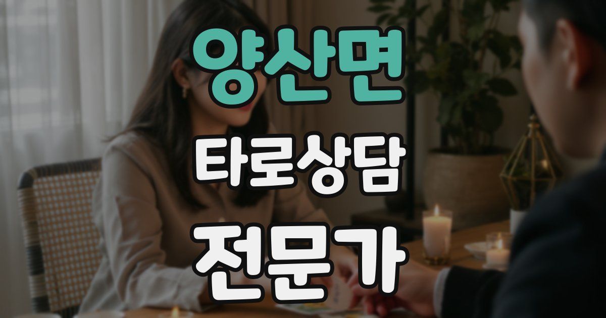양산면 타로상담전문가 자격증