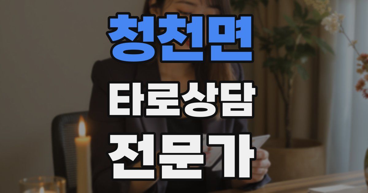 청천면 타로상담전문가 자격증