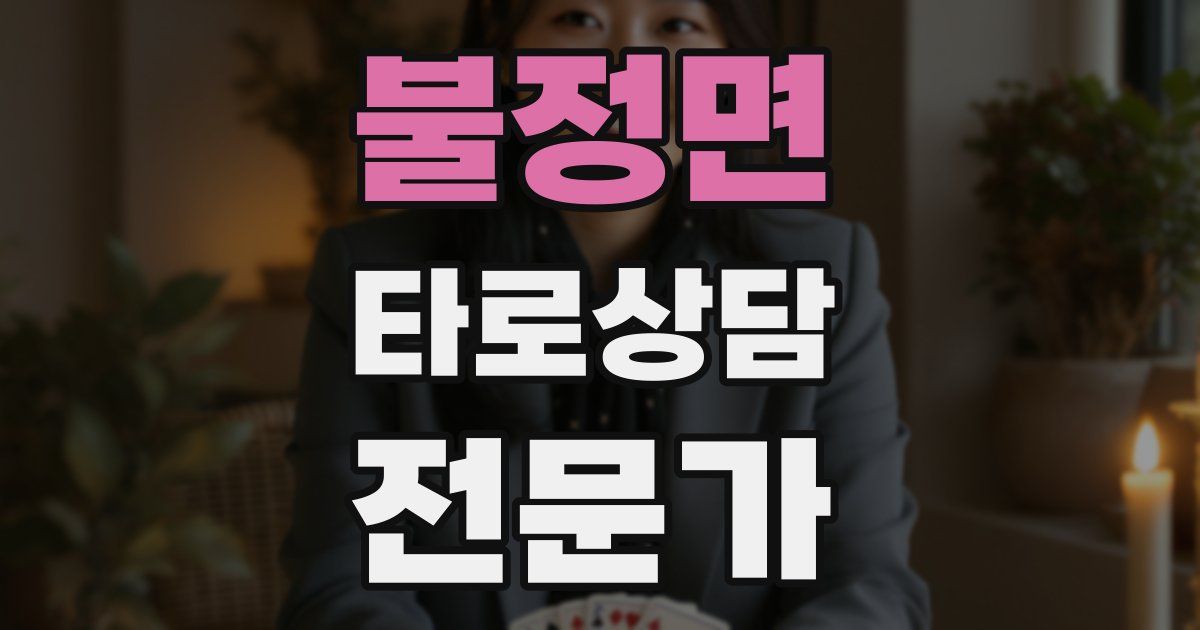 불정면 타로상담전문가 자격증