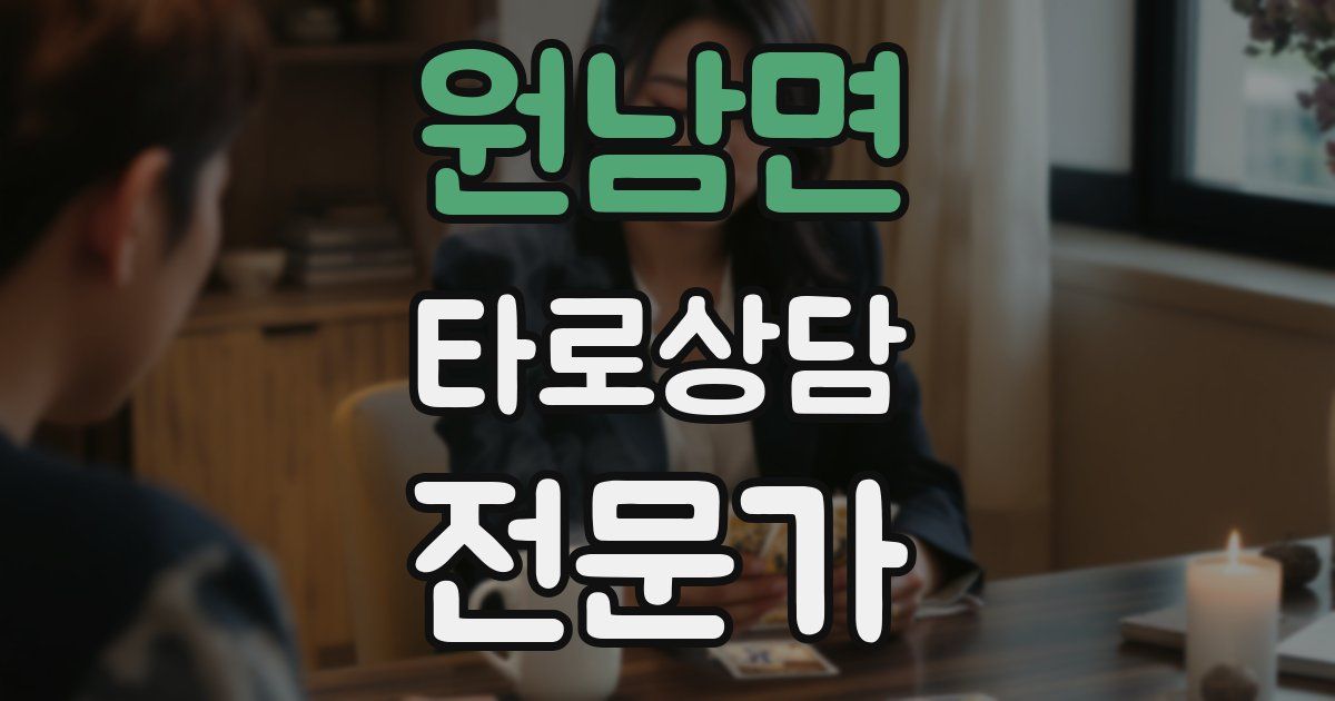 원남면 타로상담전문가 자격증