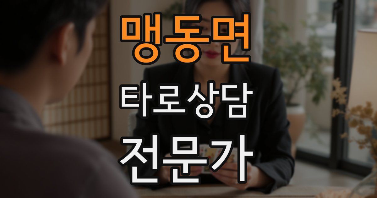 맹동면 타로상담전문가 자격증