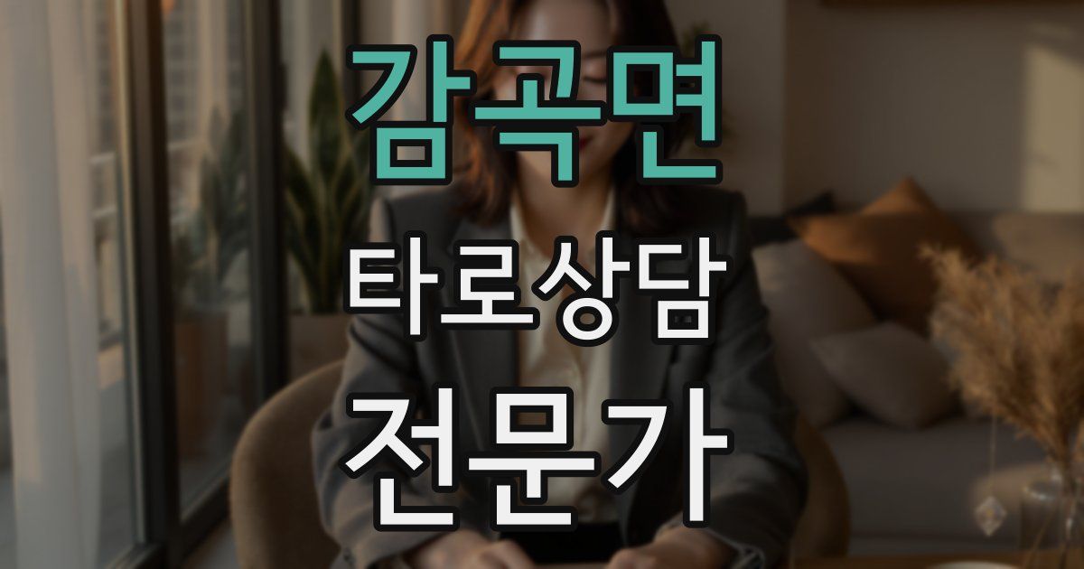 감곡면 타로상담전문가 자격증