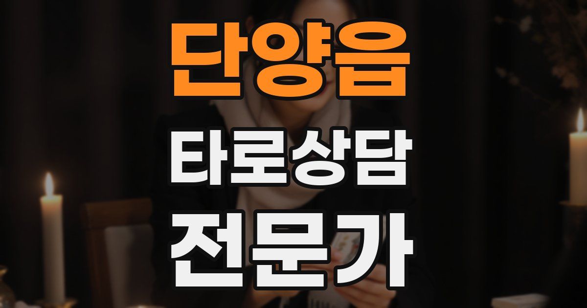 단양읍 타로상담전문가 자격증