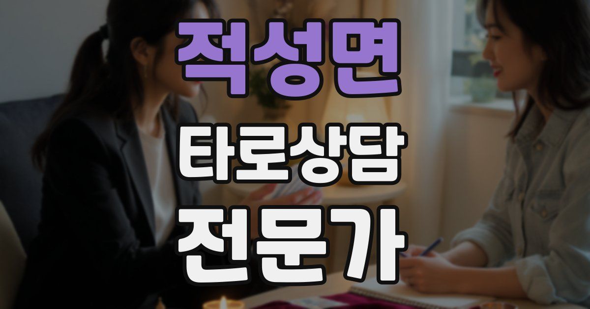 적성면 타로상담전문가 자격증