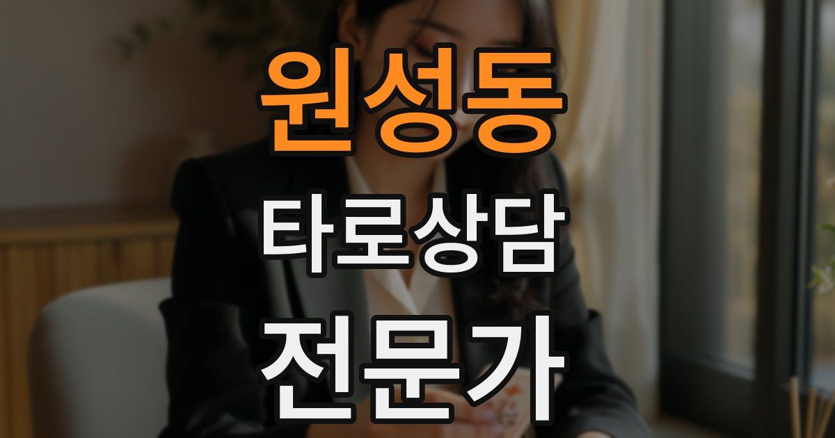 원성동 타로상담전문가 자격증