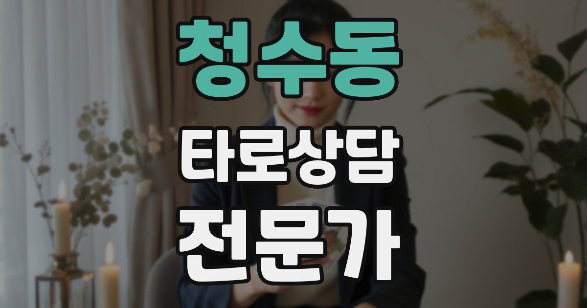 청수동 타로상담전문가 자격증