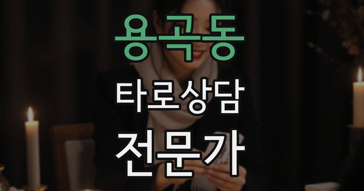 용곡동 타로상담전문가 자격증