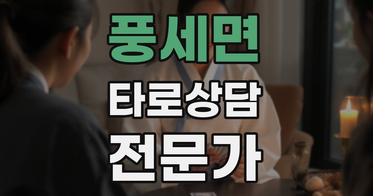 풍세면 타로상담전문가 자격증