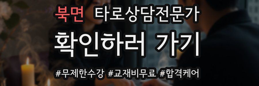 북면 타로상담전문가 자격증