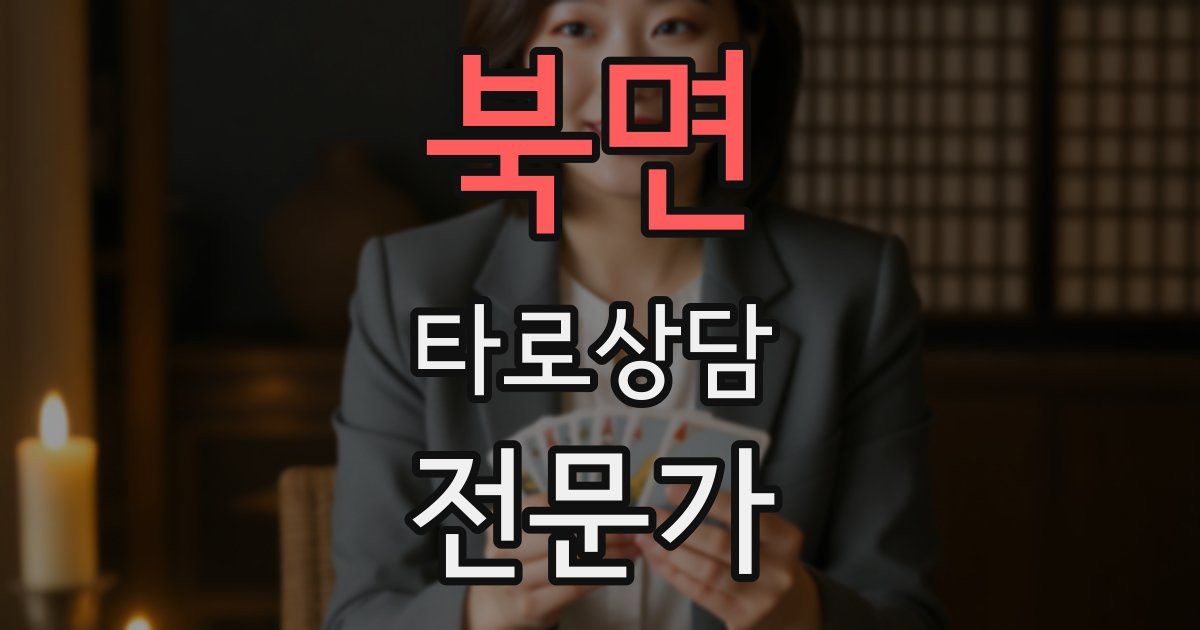 북면 타로상담전문가 자격증