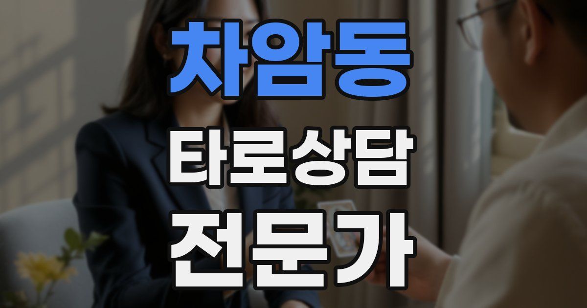 차암동 타로상담전문가 자격증